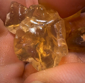 68.5cts - 6x Opalised Shell Geological Specimens from Lightning Ridge