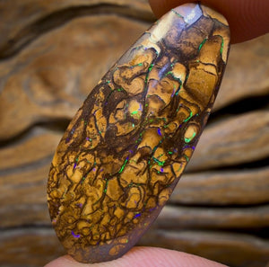 24.9cts - Tan Tribal Yowah Nut Opal. Australian Opal