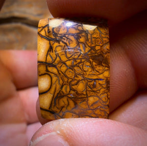 š 201.9cts - 5x Australian Tribal Boulder Opalās. Wholesale Dealers Parcel