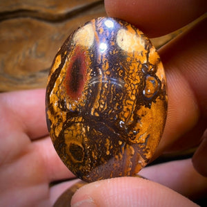 228.1cts - 3x Queensland Boulder Opal’s. Wholesale Dealers Parcel $1/ct