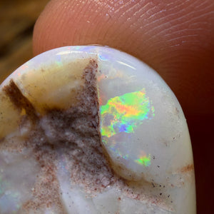 38.5cts - Opalised Shell Geological Specimen from South Australia