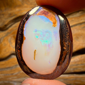 38.2cts - Yowah Nut Crysyal Centre Opal. Australian Boulder Opal