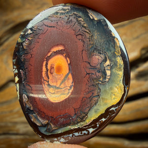 38.2cts - Yowah Nut Kernel Opal. Australian Boulder Opal