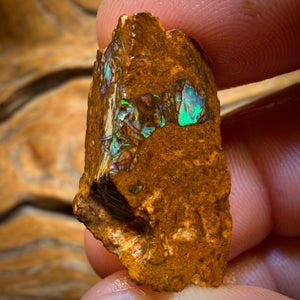 38.4cts - Tribal Yowah Nut Opal Rough Piece