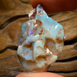 38.7cts - Lightning Ridge Dark Opal Rough Piece