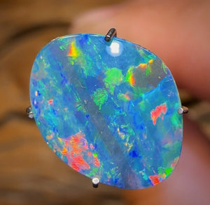2.5cts - Australian Boulder Opal Doublet from Super Rare Old School Fossil Pipì Shell - Opal Whisperers