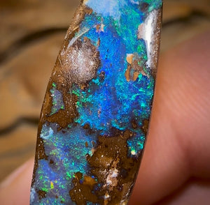 9.2cts - “Malibu” Koroit Nut Australian Boulder Opal - Opal Whisperers