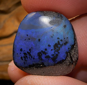 16.7cts - Queensland Boulder Seam Opal Picture Stone