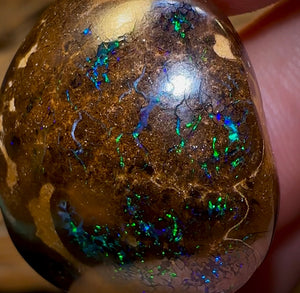 57.6cts - Bubble Band Opal Specimen from Winton