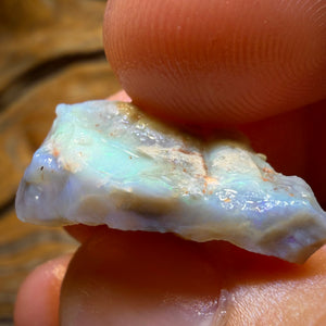 12.7cts - Lightning Ridge Dark Opal Rough Piece