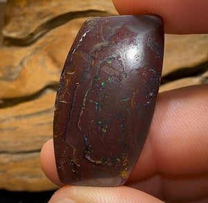41.5cts - Queensland Boulder Opal from Koroit - Opal Whisperers