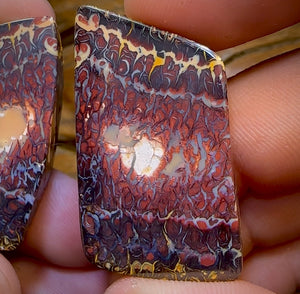 136.8cts - Tribal Koroit Nut Kernel Opal Pair