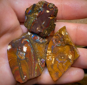 209.8cts - 3x Yowah Nut Rough Pieces. Australian Boulder Opal - Opal Whisperers