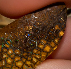 38cts - ‘Green Honey’ Tribal Queensland Boulder Opal - Opal Whisperers
