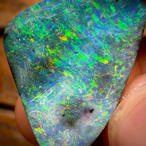 31,1 ct – Edelsteinopal aus der Boulder Seam Region in Queensland