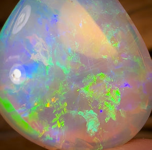 13.2cts - GEM South Australian Crystal Opal
