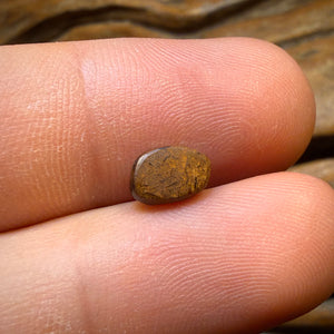 Auktion Nr. 1,6ct - Queensland Boulder Seam Opal. Australischer Opal