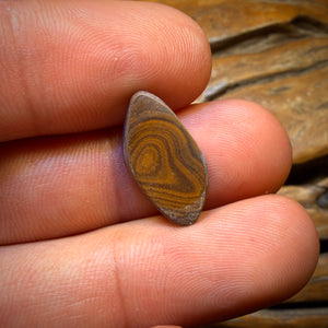 6cts - Queensland Boulder Seam Opal. Australian Opal Bargain