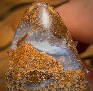 Auction Fall-Through = Your Gain! 🔥 Now More Than 50% Off RRP 🚨 15.9cts - Queensland Boulder Seam Opal BARGAIN