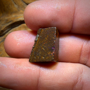 19.5cts - Super Rare Koroit Nut Opal Rub. Magenta Red!