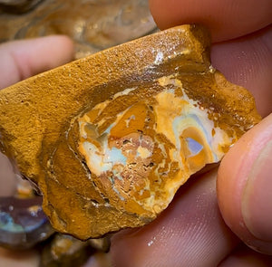 261.8g - 29x Yowah Nut Rough Pieces. Australian Opal With Kernel Crystal Centres. Less than $1/ct - Opal Whisperers