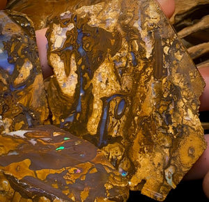 1017cts - 5x Queensland Boulder Rough Opal Parcel