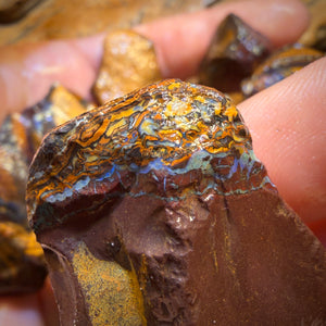 923cts - 11x Yowah Nut Rough Opal Parcel. Australian Boulder Opal