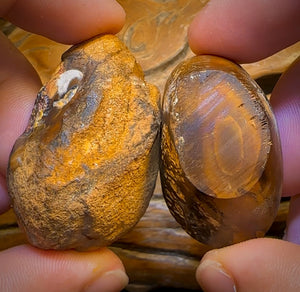 401.5cts - Yowah Nut Tribal Kernel Opal Specimen Pair