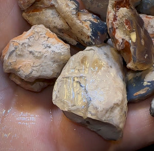 300.5cts - 13x Lightning Ridge Fossil Replacement Opal Rough Parcel Under $2/Ct - Opal Whisperers