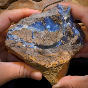 691g - Large Queensland Boulder Seam Opal Rough Specimen - Opal Whisperers