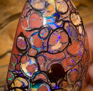 396.1cts - ISAACS CUT!! Large Top Tribal Queensland Boulder Opal Polished Specimen