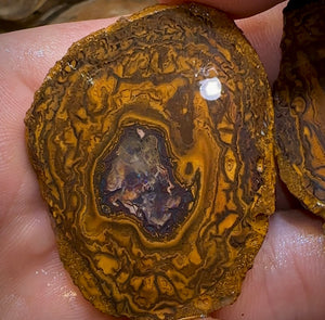 185.2cts - Yowah Nut Rough Specimen Pair. Australian Boulder Opal - Opal Whisperers