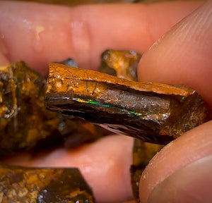 202.3cts - 6x Queensland Boulder Rough Opal Parcel. Yowah Nut >$1/ct