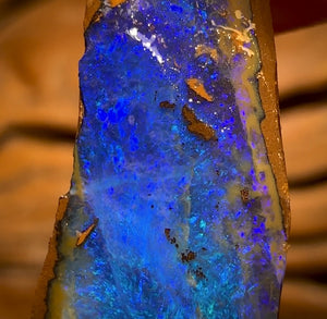 Bargain Card! 11.4cts - Queensland Boulder Seam Opal Rough Piece