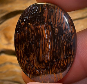 45.3cts - Queensland Boulder Opal from Koroit