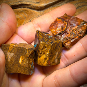 304.1cts – 3x Queensland Boulder-Opal-Rohsteinpaket aus Duck Creek
