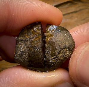 30.1cts - Highly Prized Yowah Nut Crystal Centre Rough Split Pair