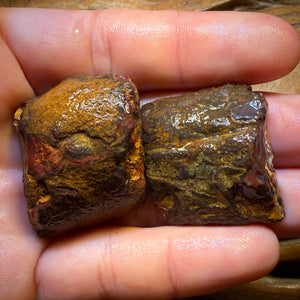 Roadshow Wild Card!284.8cts - Yowah Nut Tribal Opal Rough Specimen Pair