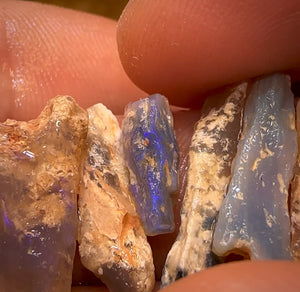 24.1cts - 9x Opalised Fossil Geological Specimens from Lightning Ridge