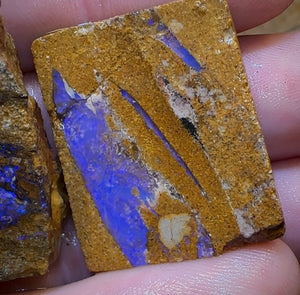 131.5cts - 2x Queensland Boulder Pipe Opal Rough.