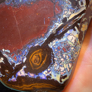 Bargain Monster Card! 2279cts - Large Tribal Yowah Nut Opal Pair. Polished Specimens