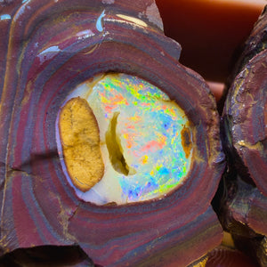 923.8cts - Huge SUPER RARE “Celebrity Rough” Yowah Nut Crystal Centre Pair. Found on ‘OUTBACK OPAL HUNTERS’!