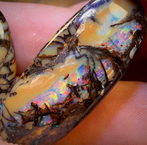 33.1cts - Cathedral AKA Stained Glass Window Australian Boulder Wood Fossil Opal Pair