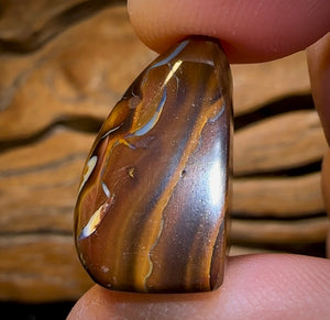 37.2cts - “ Coffee Kernel Frog ” Yowah Nut Polished Specimen Picture Stone