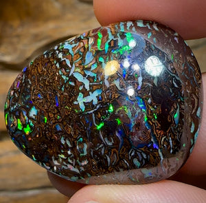 92.4cts - Tribal Koroit Nut Opal - Opal Whisperers