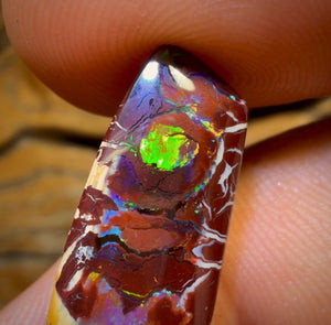 17.2cts - ‘Rainbow Six’ Top Tribal Boulder Opal from Koroit. Red Multicolours!