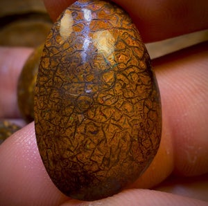 94.5cts- 4x Tribal Queensland Boulder Opal Rubs