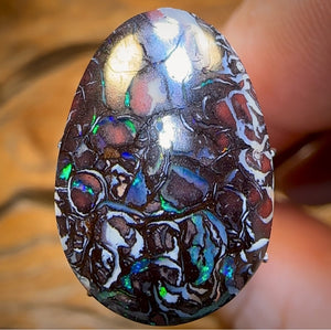 13.7cts - Top Tribal Black Boulder Opal Picture Stone from Koroit