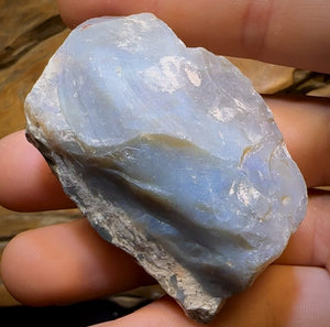 Auction Fall-Through = Your Gain! 🔥 Now More Than 50% Off RRP 🚨 310.5cts - LARGE Lightning Ridge Black Potch Opal Rough Piece