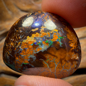 41.4cts - Tribal Koroit Nut Opal. Australian Opal